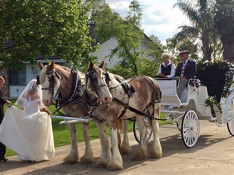 The Marriage Carriage Company